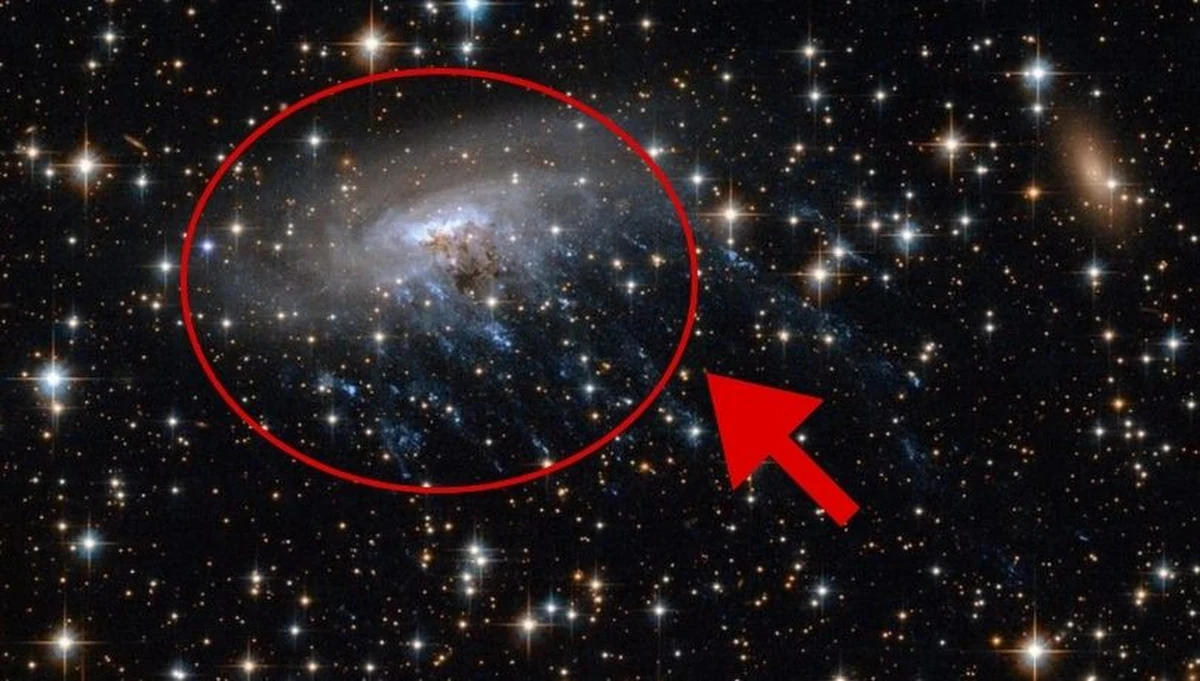 Astrofizycy z Uniwersytetu Waterloo dokonali ważnego odkrycia, identyfikując najodleglejszą znaną do tej pory galaktykę typu meduza. Obiekt ten został zaobserwowany dzięki danym z Kosmicznego Teleskopu Jamesa Webba (JWST), a jego unikalne cechy rzucają nowe światło na procesy zachodzące we wczesnym Wszechświecie. Odkrycie opisano na łamach czasopisma "The Astrophysical Journal". 