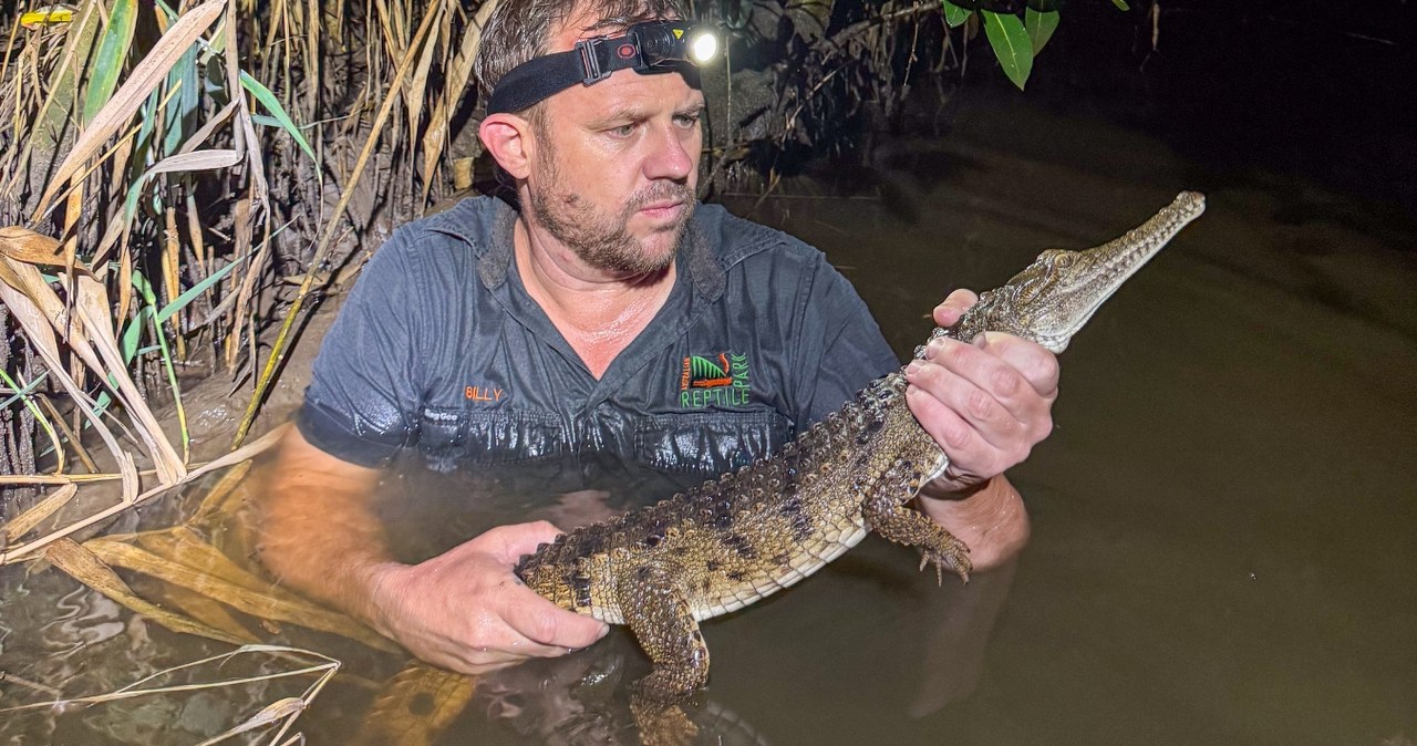 Wystraszony 12-latek zadzwonił do mamy. Wszyscy myśleli, że to żart Wystraszony 12-latek zadzwonił do mamy. Wszyscy myśleli, że to żart