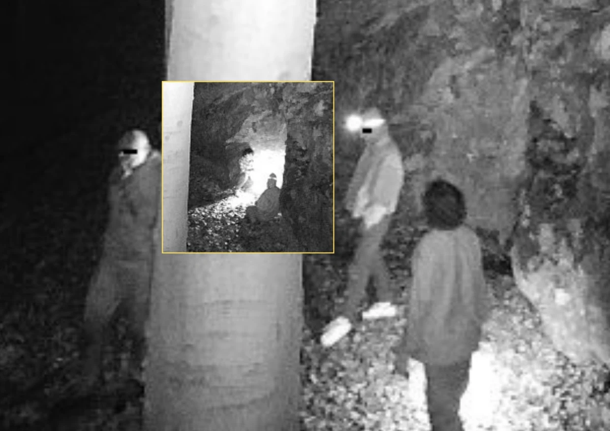 W rezerwacie przyrody Sokole Góry na Wyżynie Krakowsko-Częstochowskiej doszło do aktu wandalizmu - zniszczono zabezpieczenie wejścia do Jaskini Maurycego, a także skradziono elementy włazu i jedną z fotopułapek monitorujących teren. "Apelujemy do turystów o pomoc w ujęciu wandali" - czytamy na stronie Regionalnej Dyrekcji Ochrony Środowiska w Katowicach.