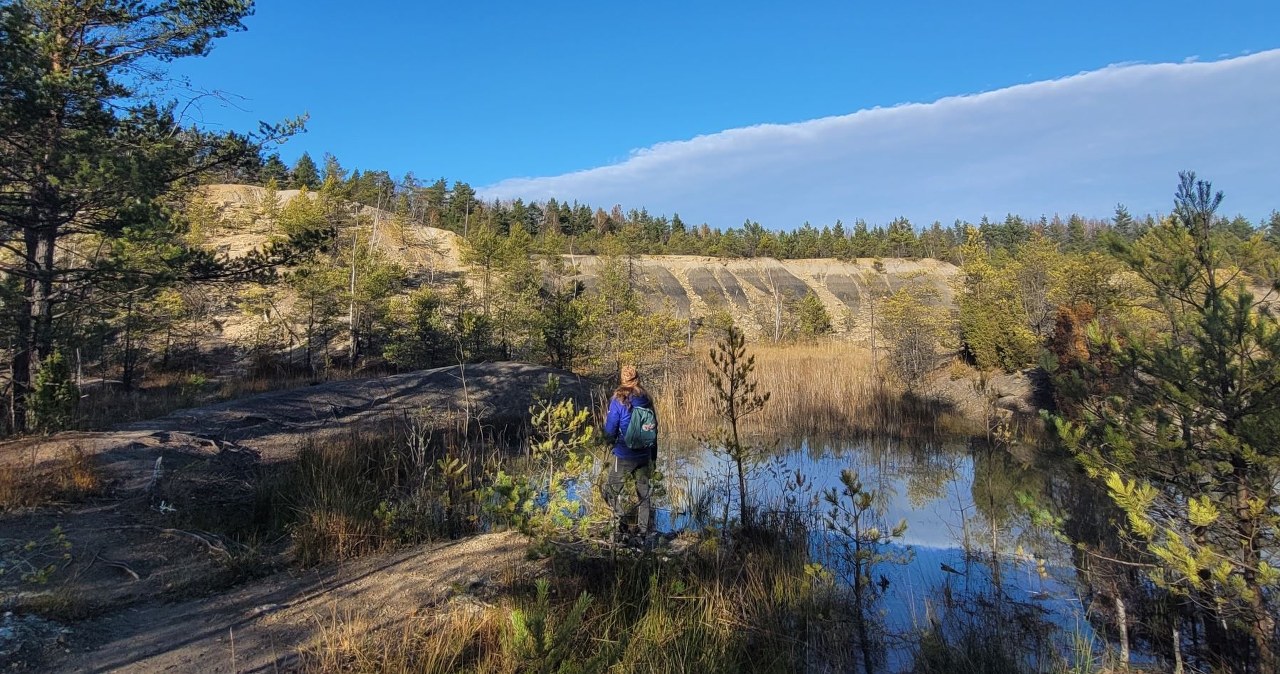 Unikatowe miejsce w Polsce. Zobaczysz tu największe ślady dinozaurów