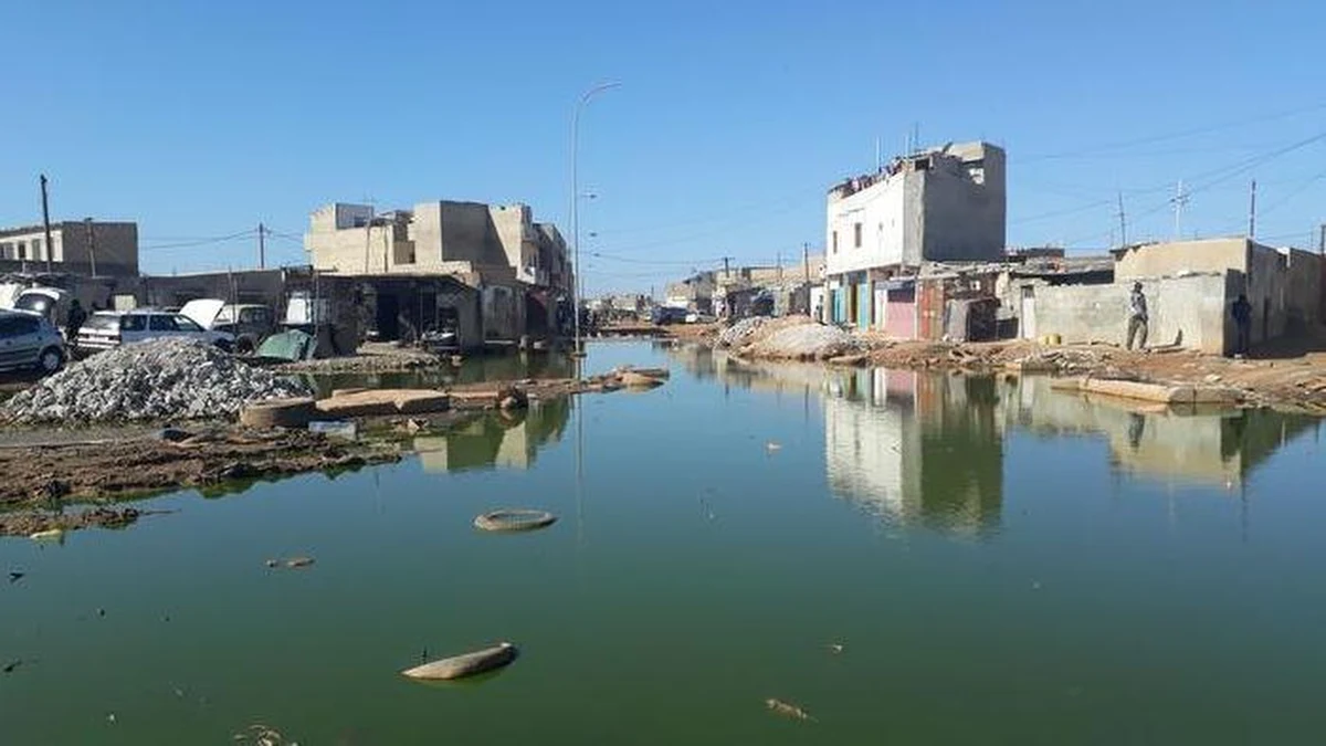 Najnowsze wyniki badań brytyjskich i austriackich naukowców, opublikowane w prestiżowym czasopiśmie "Nature", wskazują na nieznane wcześniej mechanizmy powstawania burz. Wyniki tych analiz mogą w przyszłości znacząco poprawić precyzję prognozowania lokalizacji gwałtownych zjawisk burzowych, co jest szczególnie istotne w dobie nasilających się zmian klimatycznych i coraz częstszych ekstremalnych opadów. Kluczowymi czynnikami, które trzeba brać pod uwagę są lokalna wilgotność gleby, a także kierunek i siła wiatru w najniższych warstwach atmosfery.