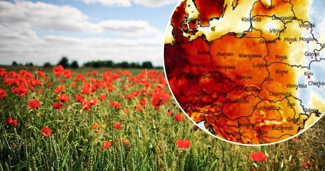 Pogoda bliska ideału. Gorzej będzie tylko w nocy