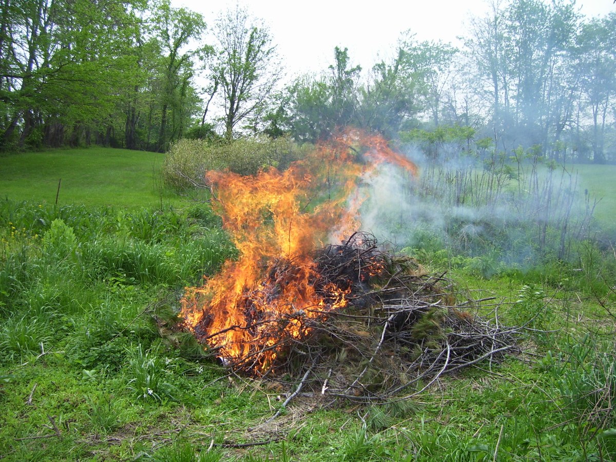 Palisz gałęzie na działce? Możesz za to słono zapłacić