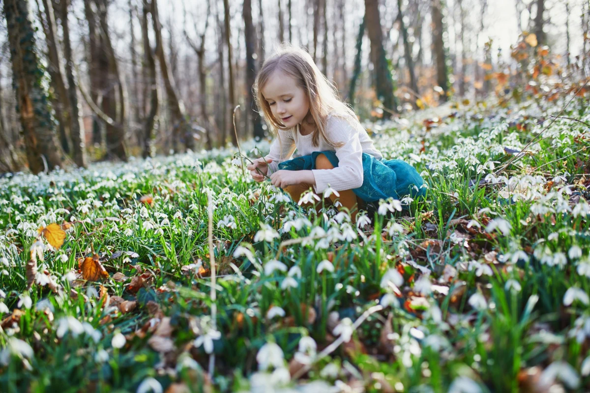 Jakiej pogody możemy się spodziewać na początku wiosny? Synoptycy zapowiadają, że najbliższe dni przyniosą prawdziwie wiosenną aurę. Będzie sporo słońca, choć miejscami pojawią się przelotne opady deszczu i więcej chmur. Sprawdzamy, jaka będzie pogoda na pierwsze dni wiosny oraz co przewidują prognozy długoterminowe.