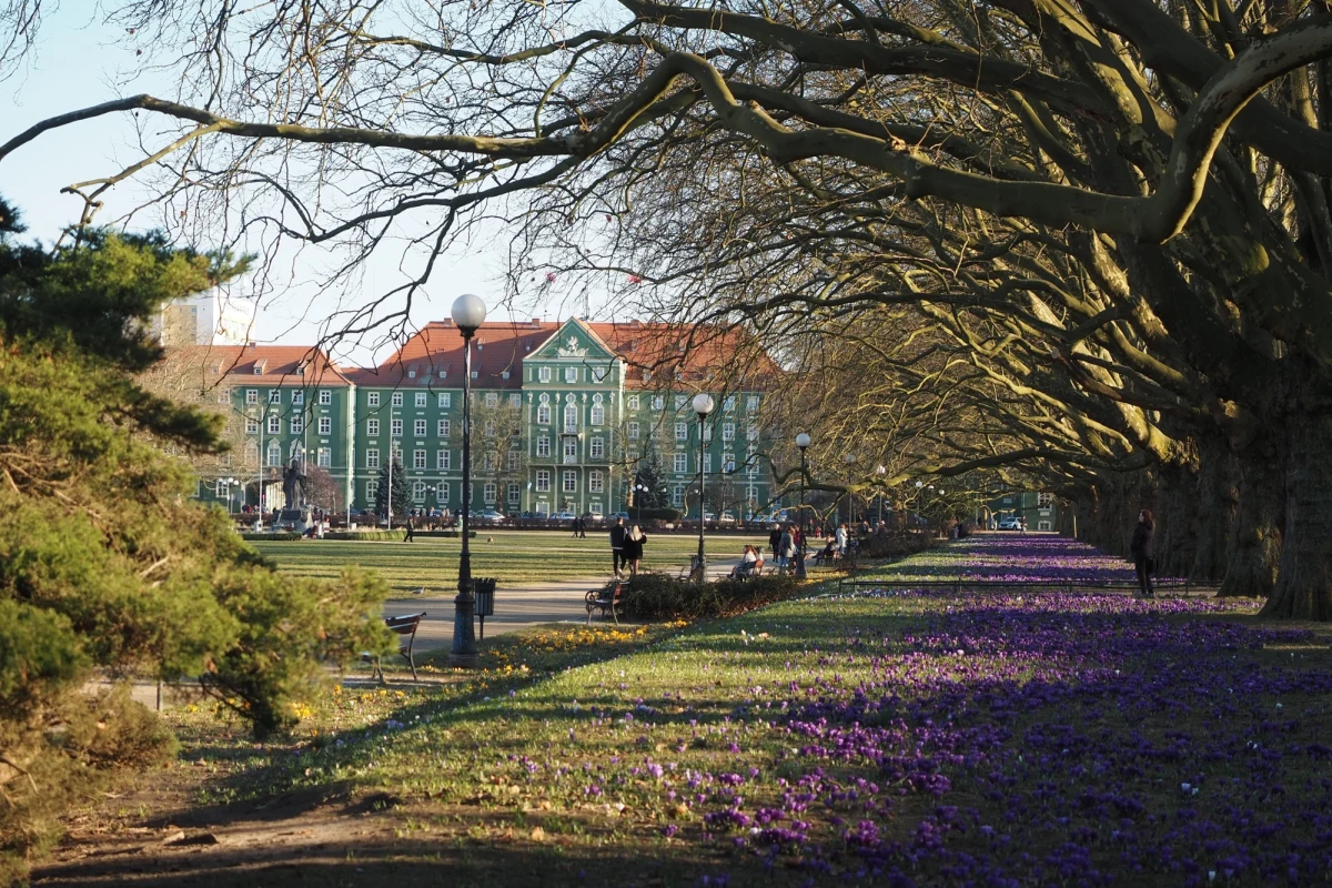 Już w poniedziałek (9 marca) rozpocznie się nabór projektów do tegorocznej edycji Szczecińskiego Budżetu Obywatelskiego. Mieszkańcy będą mogli zgłaszać swoje pomysły na inwestycje i inicjatywy, które mają szansę zmienić ich najbliższe otoczenie.