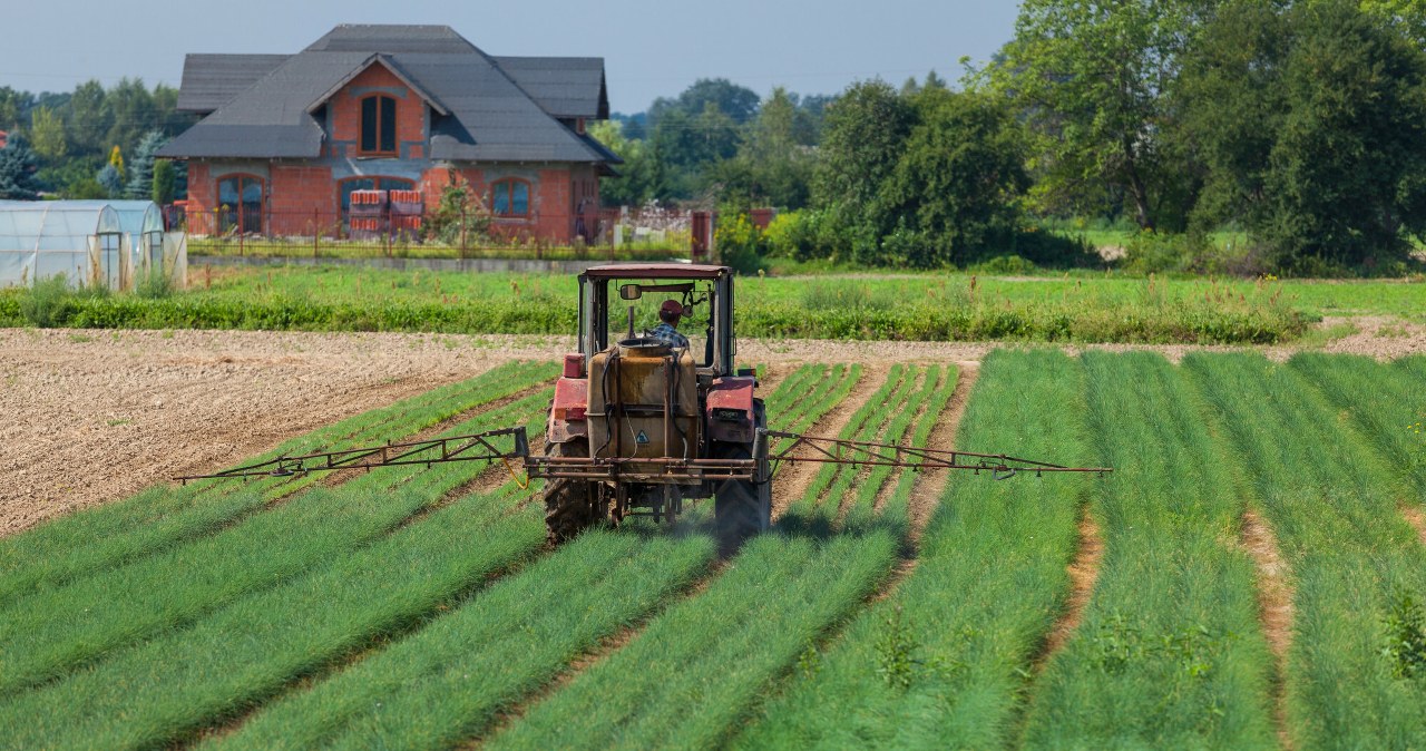 Sensacyjne odkrycie. Znalazł w ogródku formę odlewniczą z epoki brązu