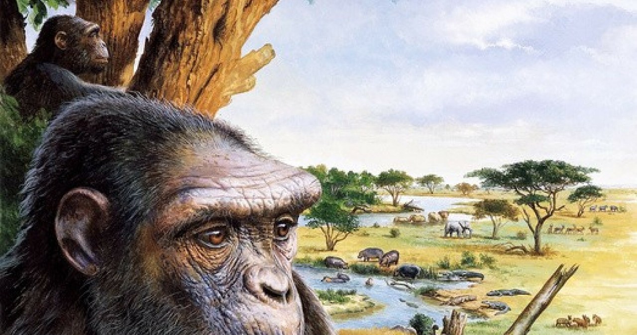 Małpa z Europy chodząca na dwóch nogach? Tego nikt nie zakładał