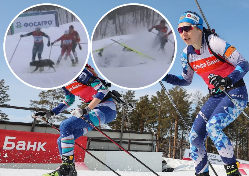 Kuriozalne sceny w Rosji, pies wbiegł na trasę mistrzostw. Przykry koniec