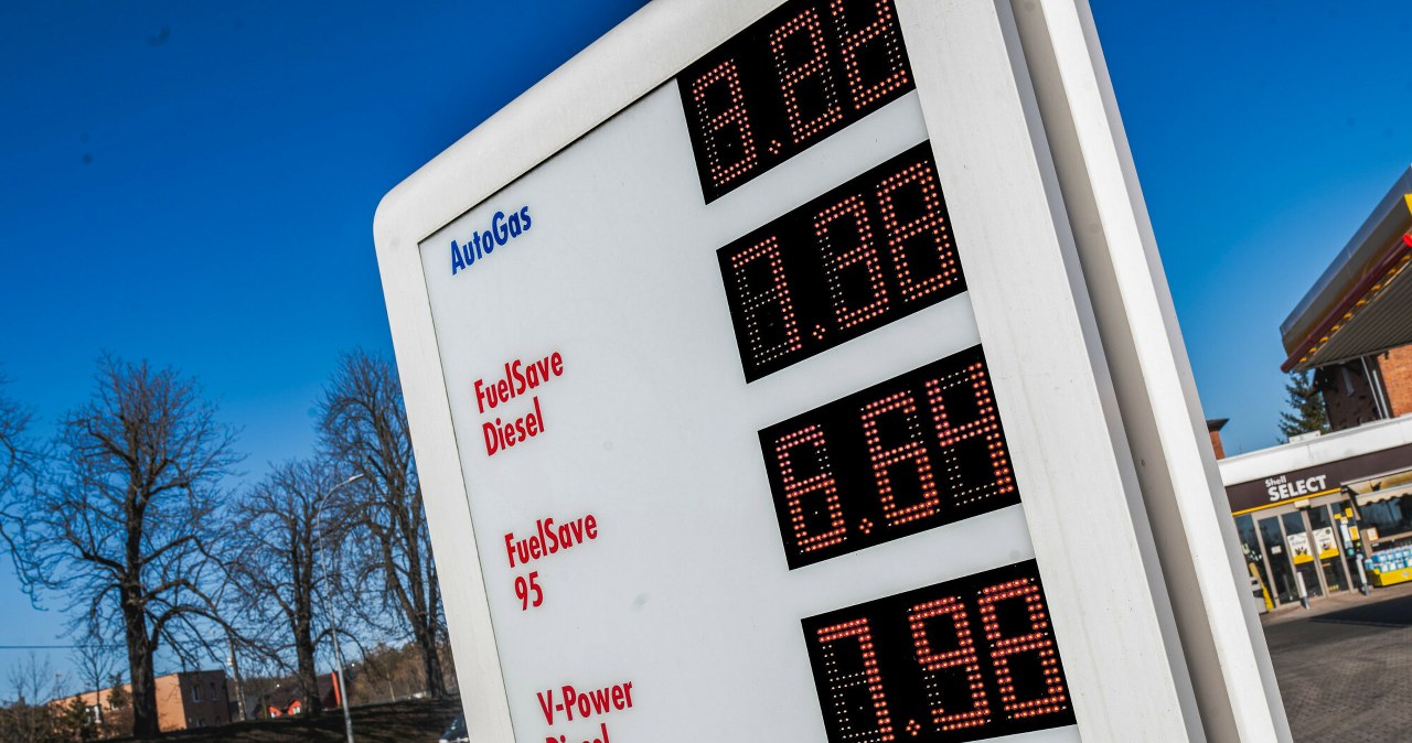 Przecierałem oczy ze zdumienia. Pojechałem na stacje sprawdzić ceny [RAPORT]