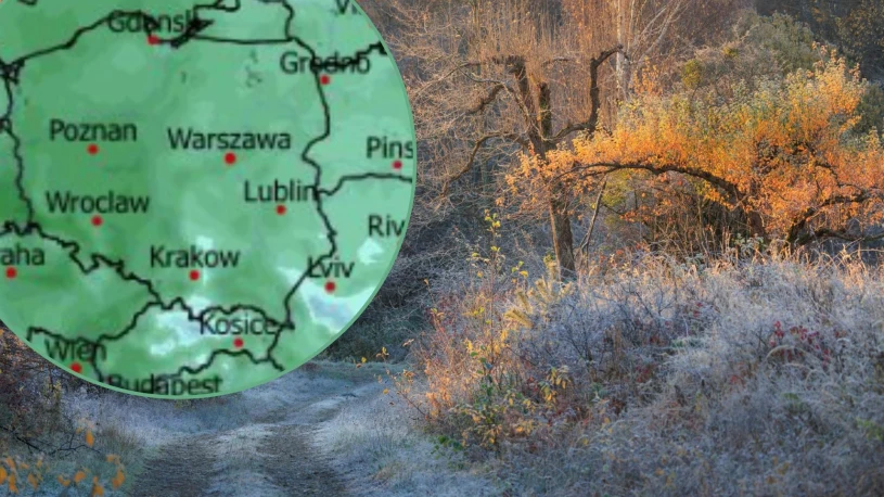 Wiosenna aura w Polsce. Ciepłe dni, chłodne noce i lokalne mgły