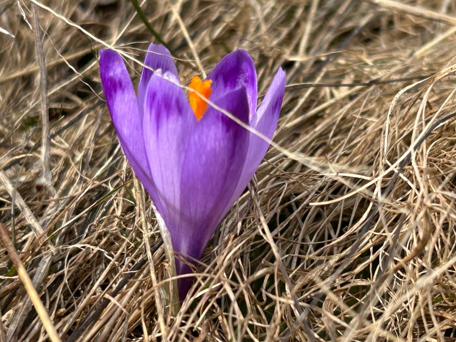 /Maciej Pałahicki /RMF FM