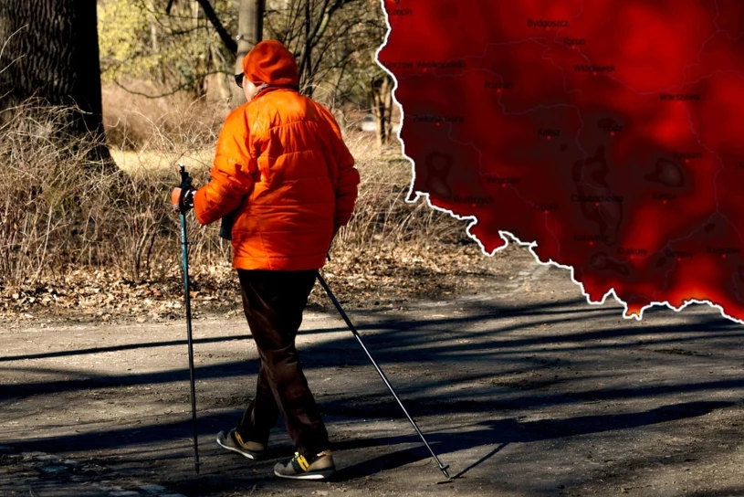 Wiosna zalewa całą Polskę. Ciepło od samego rana, będzie prawie 20 stopni