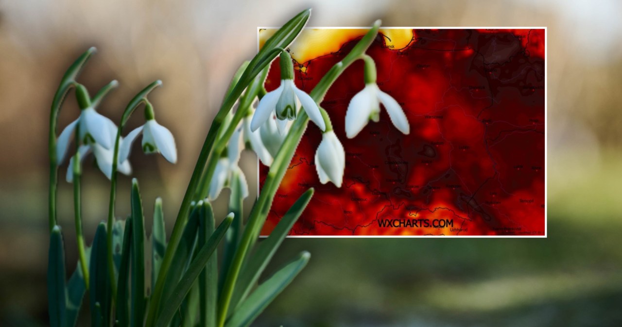 Wzbiera wiosenna fala. Pogoda zdecydowanie zachęci do spaceru