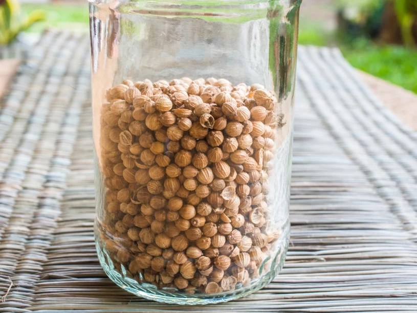 Niektórzy twierdzą, iż smakuje jak mydło. To pogromca toksyn