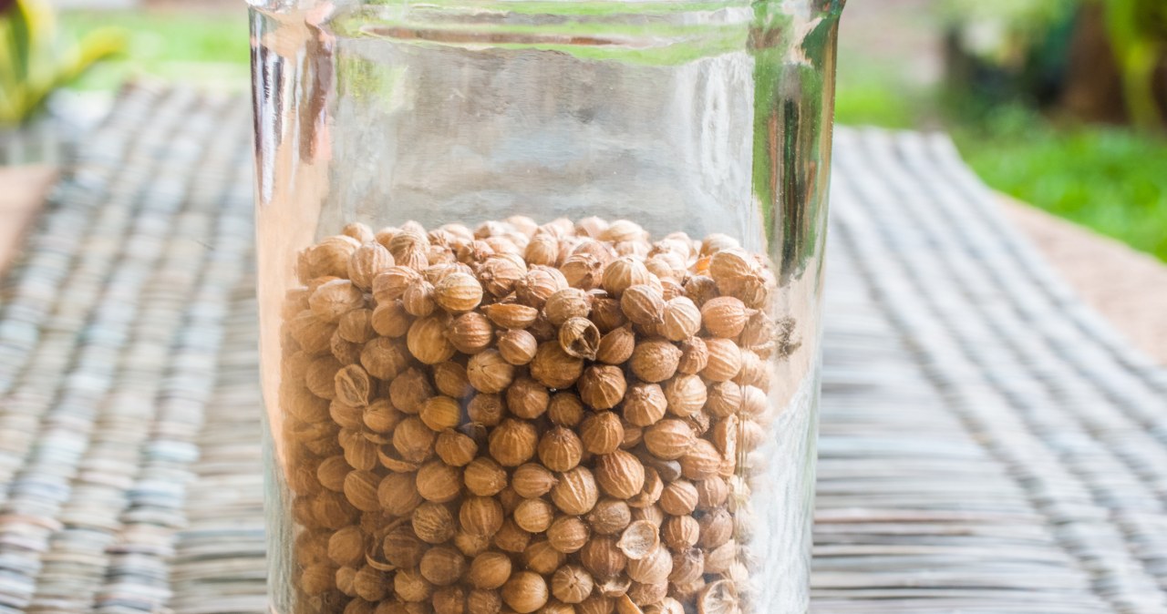 Niektórzy twierdzą, iż smakuje jak mydło. To pogromca toksyn