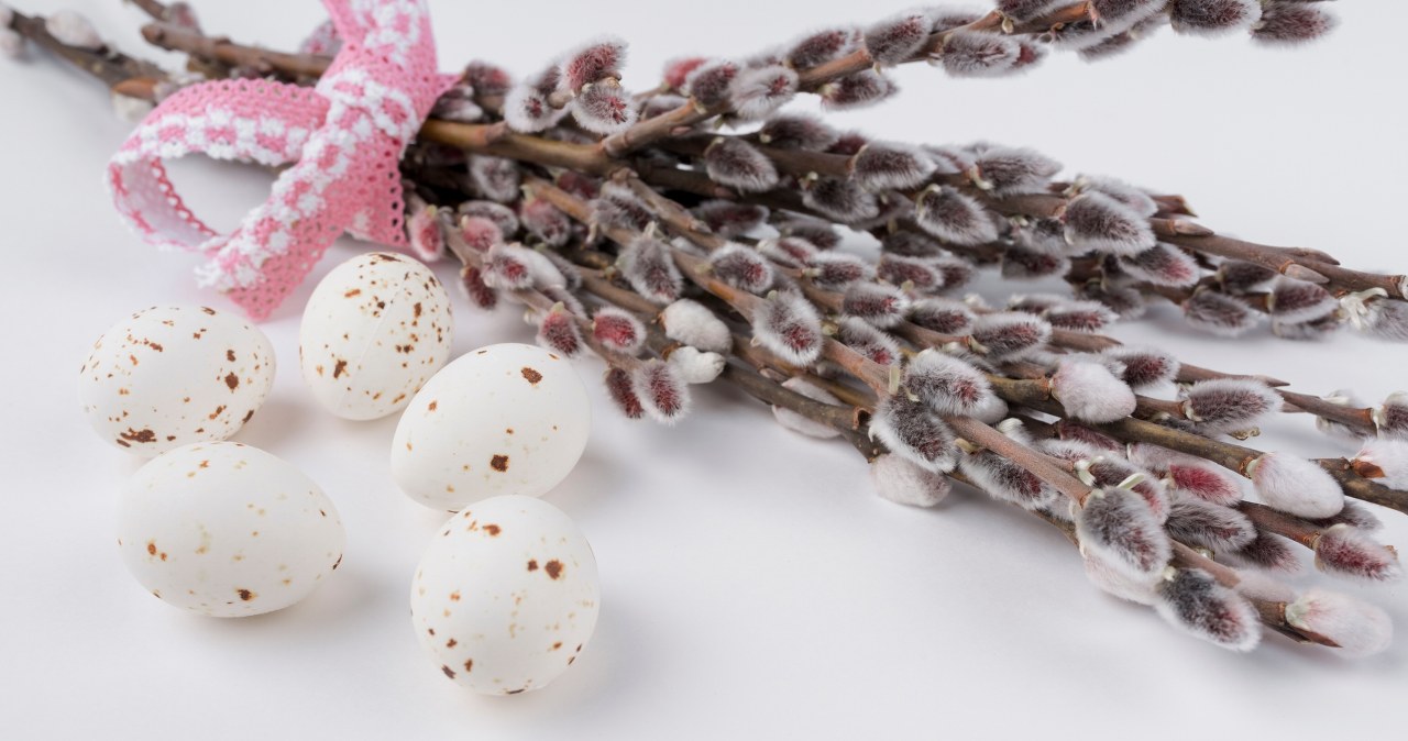 Nie tylko do wazonu! Zaskakujące zastosowania bazi, o którym mało kto wie