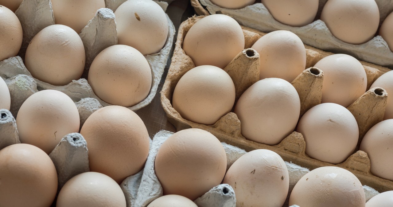 Są lepsze niż zwykłe jajka. Polacy w sklepach wciąż je ignorują