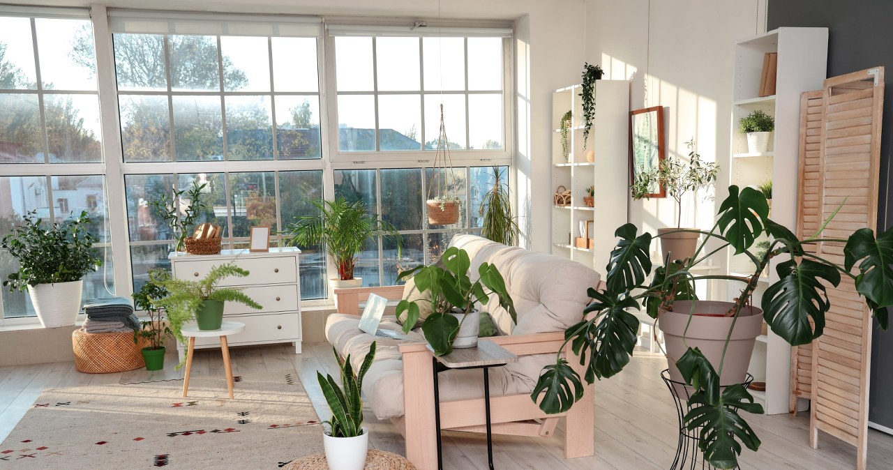 Nie ustawiaj kwiatów na parapecie. Ten sposób jest lepszy i modniejszy