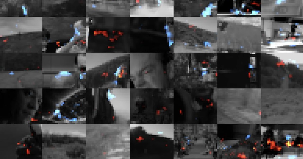 Film zapisany w neuronach. Pokazali, jak mózg interpretuje obraz