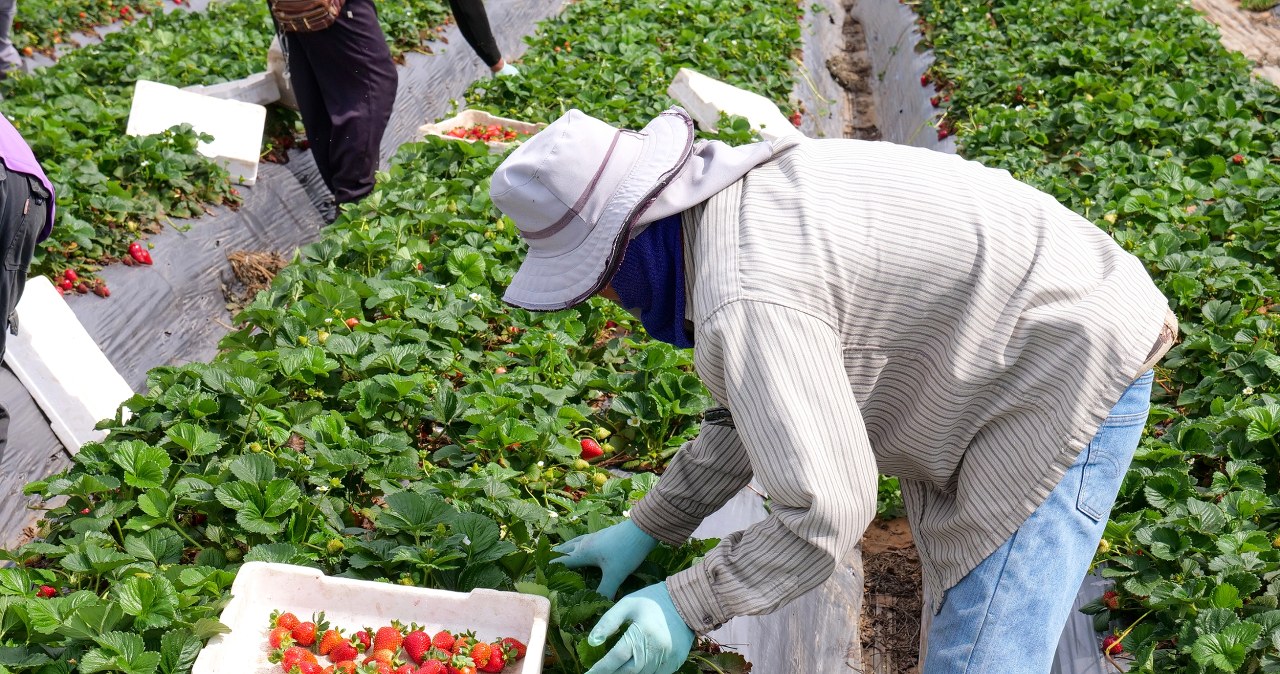 Niepokojący raport. W Norwegii biją na alarm, może brakować pracowników