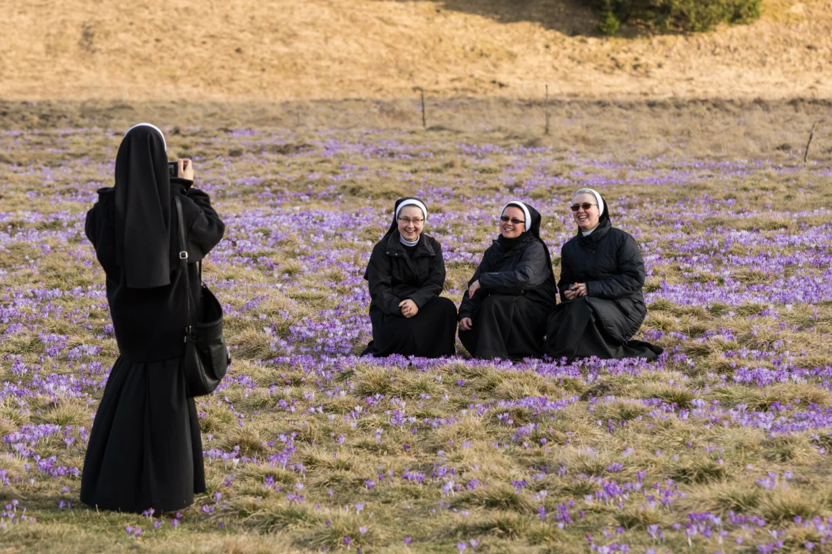 Już za kilka dni Tatrzański Park Narodowy zamieni się w fioletowe morze krokusów. Przygotowania do tej niezwykłej wiosennej atrakcji trwają pełną parą – wolontariusze i pracownicy parku apelują o szacunek dla przyrody i zapowiadają akcję "Hokus Krokus". 