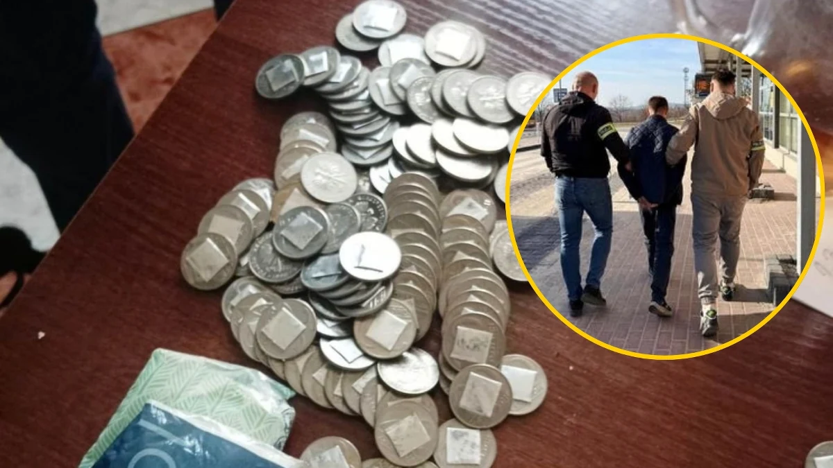 ​54-letni Kielczanin miał przerabiać monety sprzed denominacji, aby biletomaty komunikacji miejskiej odczytywały je jako współczesne pięciozłotówki. Kupując bilety, miał wprowadzić do obrotu ponad 400 "fałszywek". We wtorek rano kieleccy policjanci zatrzymali podejrzanego w... autobusie komunikacji miejskiej na gorącym uczynku.