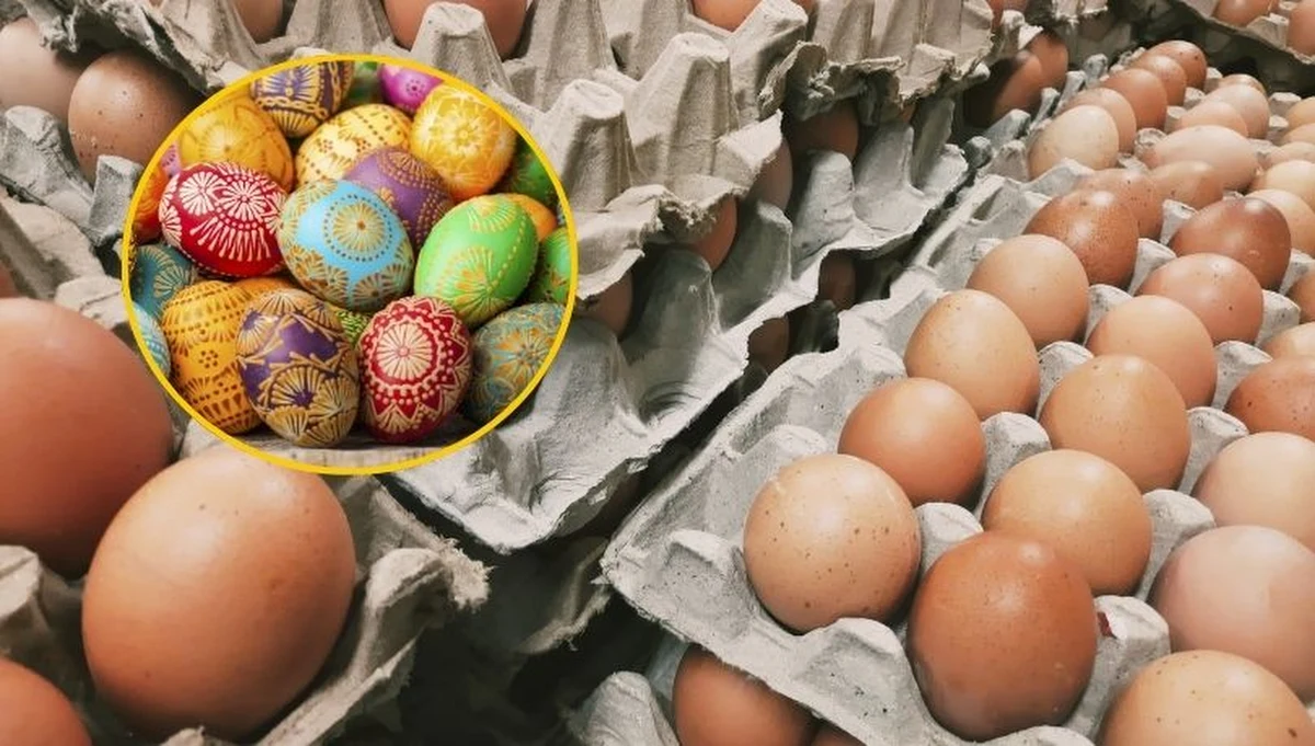 Polacy z niepokojem spoglądają na sklepowe półki przed Wielkanocą. Czy zabraknie jajek do świątecznych wypieków i tradycyjnego śniadania? Eksperci uspokajają: jaj na sklepowych półkach nie zabraknie. Sprawdzamy, ile kosztują jaja w marcu 2026 roku i co wpływa na ich ceny.