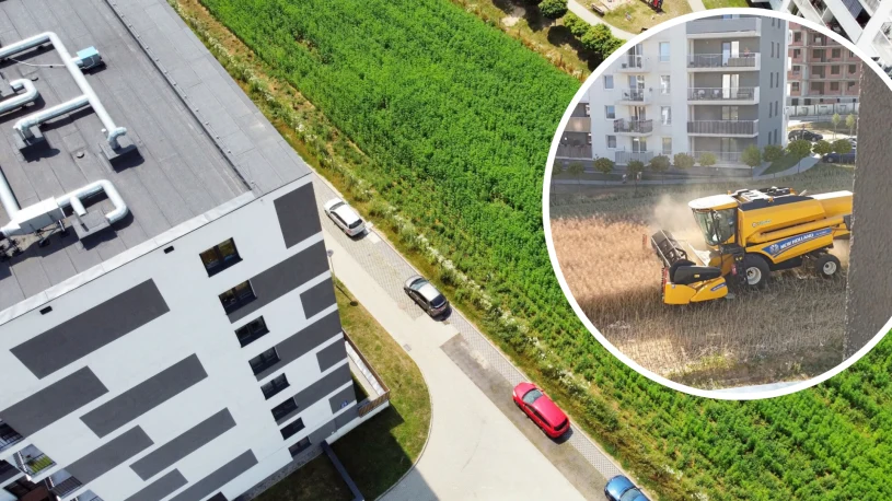 Rolnik sprzedał słynne pole. Batalia w sprawie ojcowizny trwała od lat