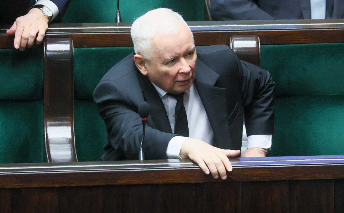 PiS-owi rośnie, Konfederacje idą łeb w łeb. Nowy sondaż