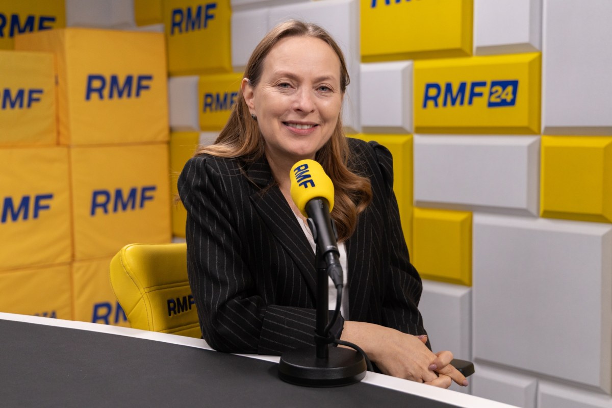 Reforma PIP a weto prezydenta. Pełczyńska-Nałęcz: Możemy stracić choćby 8 miliardów