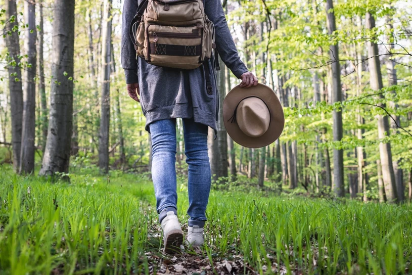 Obudziły się wcześniej niż zwykle. Leśnicy ostrzegają: "Patrzcie pod nogi"