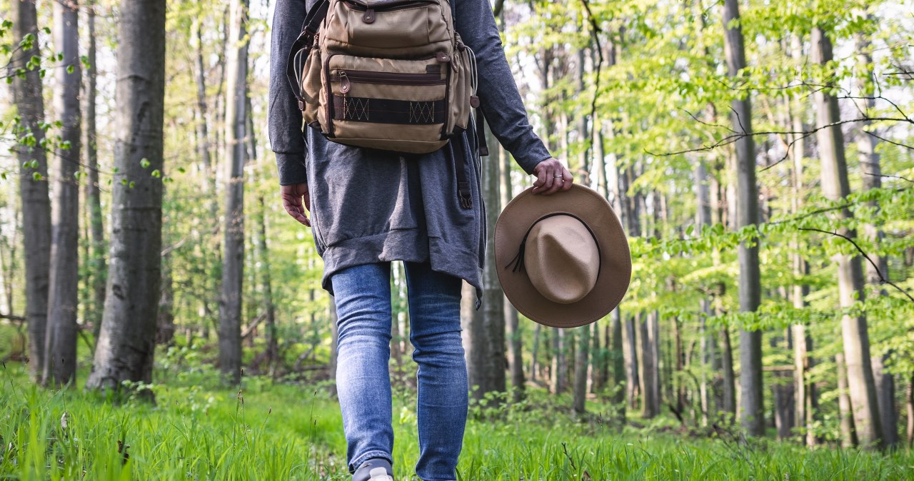 Obudziły się wcześniej niż zwykle. Leśnicy ostrzegają: "Patrzcie pod nogi"