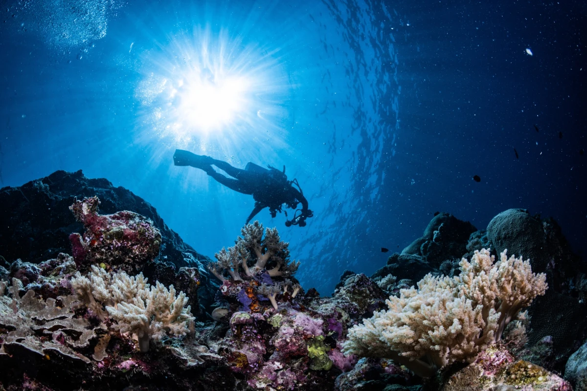 Morze – dla jednych synonim wakacyjnego relaksu, dla innych fascynująca zagadka natury. Skąd bierze się jego niezwykły, niebieski kolor? Czy to rzeczywiście zasługa odbicia nieba? A może odpowiedź kryje się głębiej – dosłownie i w przenośni? 