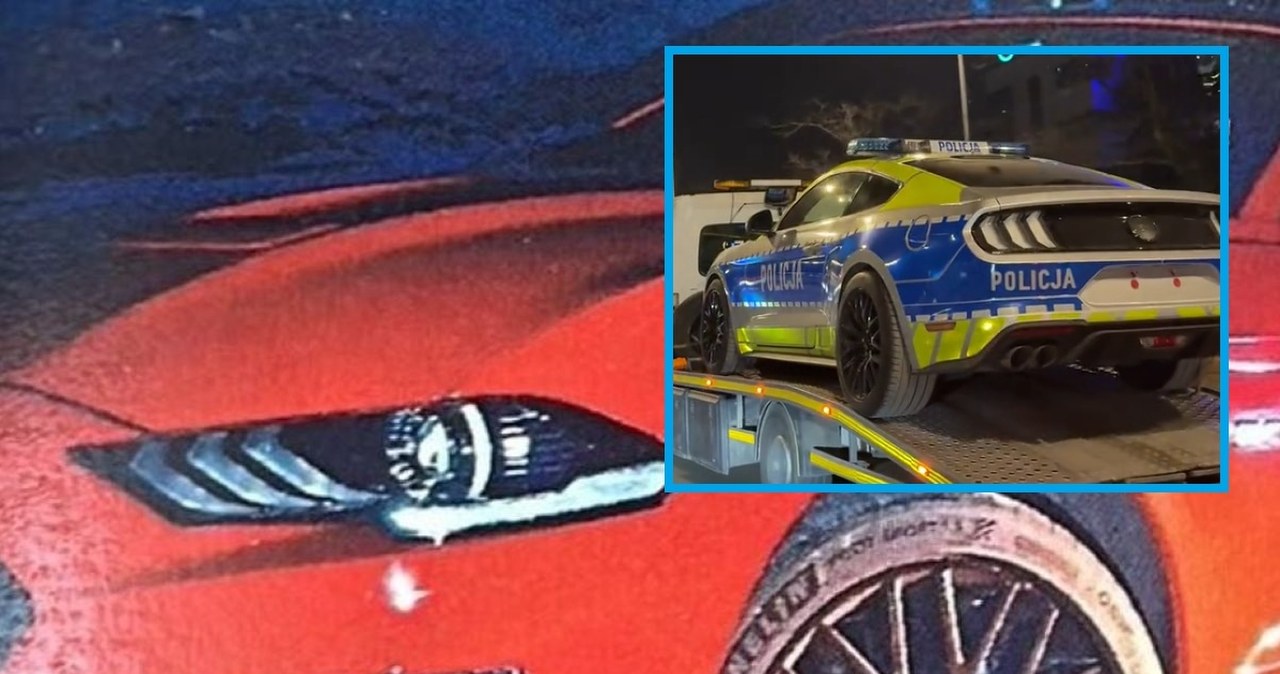 Skonfiskowany Ford Mustang będzie radiowozem. Silnik V8 i 4,4 s do 100 km/h