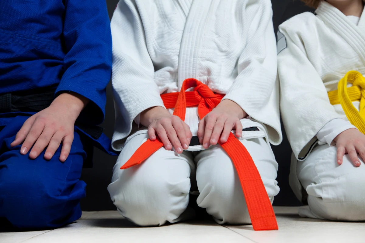 Prokurator nadzorujący sprawę naruszenia nietykalności cielesnej polskiego sędziego przez izraelskiego trenera podczas turnieju judo w Bielsku-Białej zadecydował o ściganiu tego czynu z urzędu. Incydent, do którego doszło w styczniu, odbił się szerokim echem nie tylko w Bielsku-Białej.