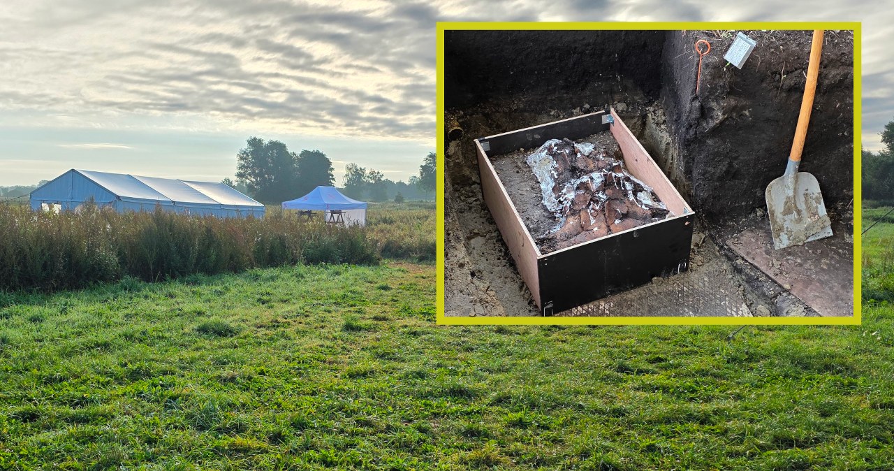 Wielkie odkrycie w Niemczech. Natrafili na ślady pradawnego rytuału