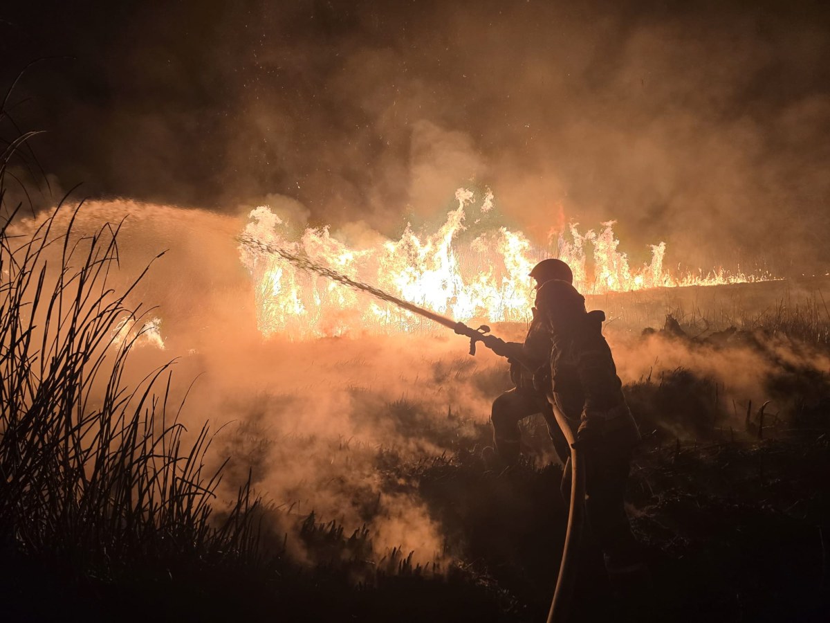 Dramatyczny weekend na Podkarpaciu. Ponad 200 pożarów traw