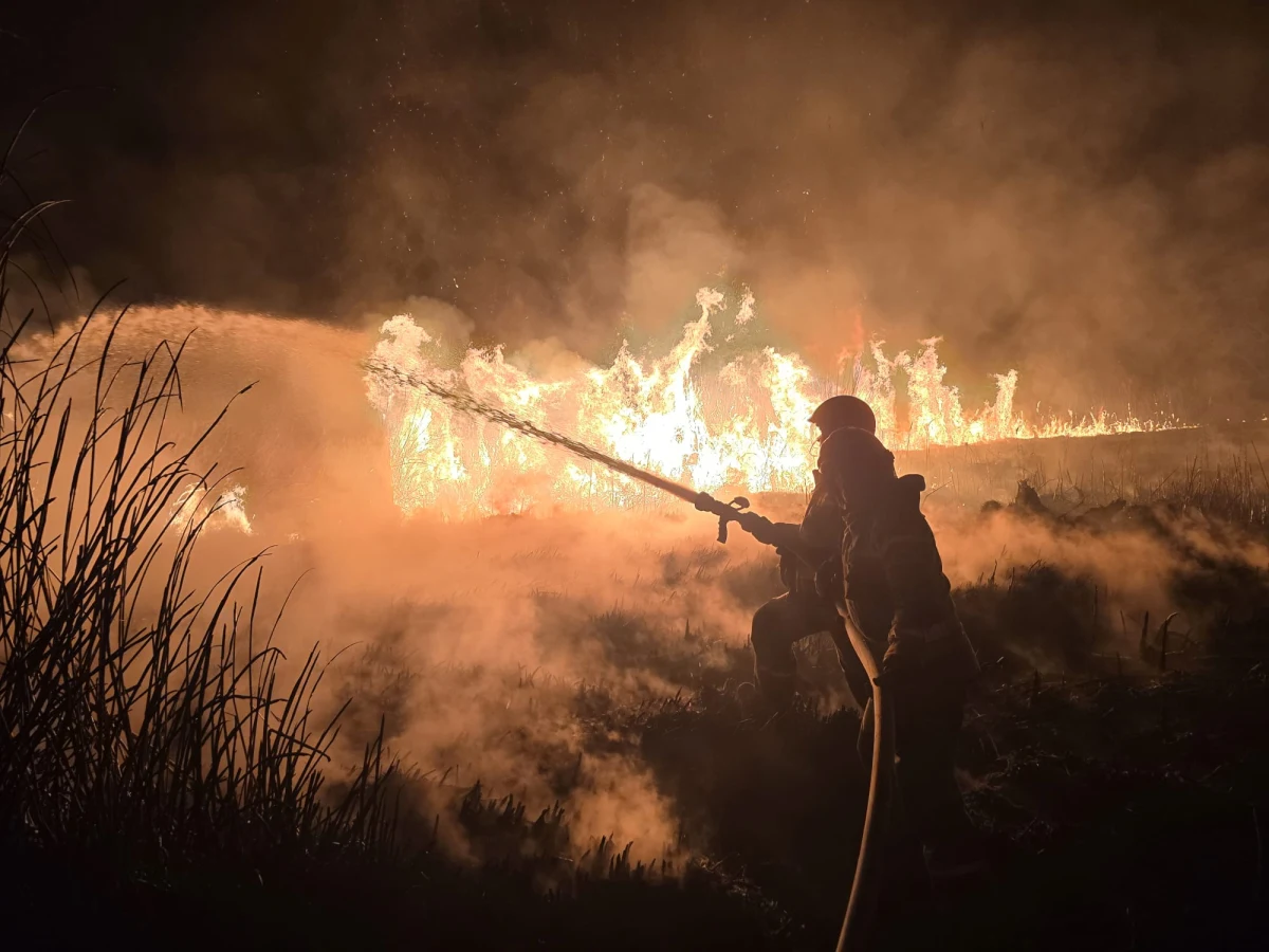Miniony weekend na Podkarpaciu upłynął pod znakiem walki z pożarami traw. Strażacy wyjeżdżali aż do 215 pożarów, które objęły łąki, pola i nieużytki. Ogień zdewastował blisko 60 hektarów ziemi. W akcjach gaśniczych brało udział ponad dwa tysiące strażaków z Ochotniczych Straży Pożarnych oraz Państwowej Straży Pożarnej z całego regionu.