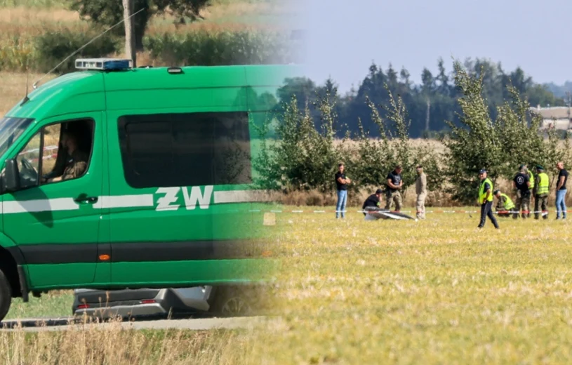 Szczątki w lesie. Żandarmeria potwierdza: "Obiekt wojskowy"