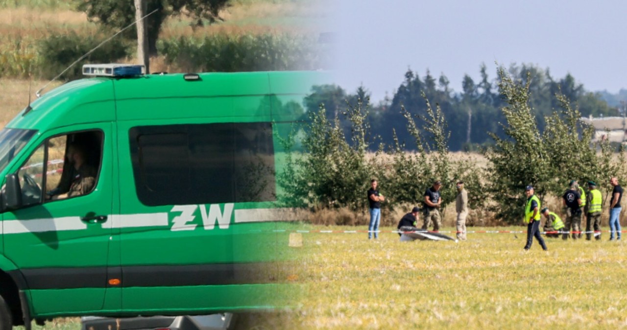 Szczątki w lesie. Żandarmeria potwierdza: „Obiekt wojskowy” Szczątki w lesie. Żandarmeria potwierdza: „Obiekt wojskowy”