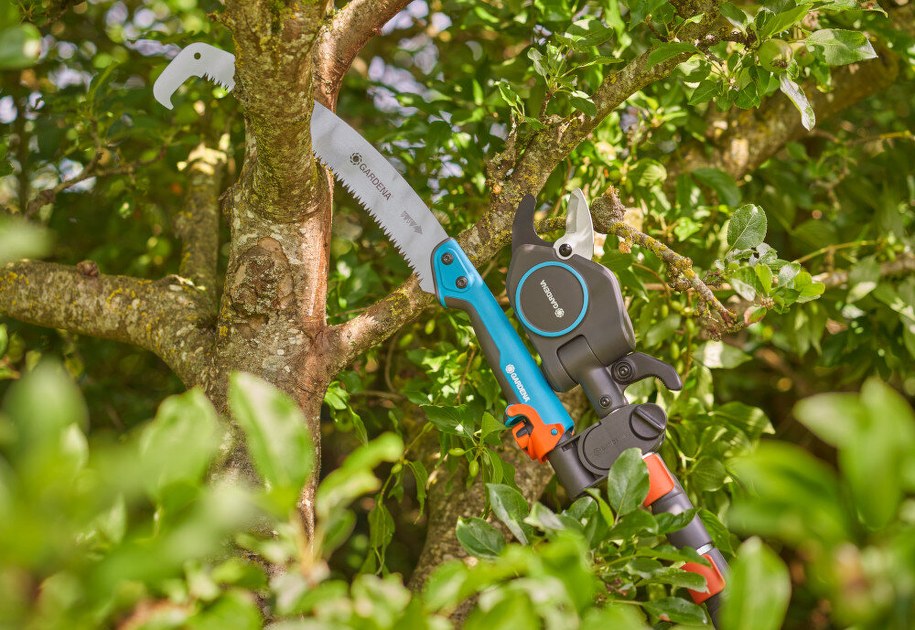 /Materiały promocyjne /