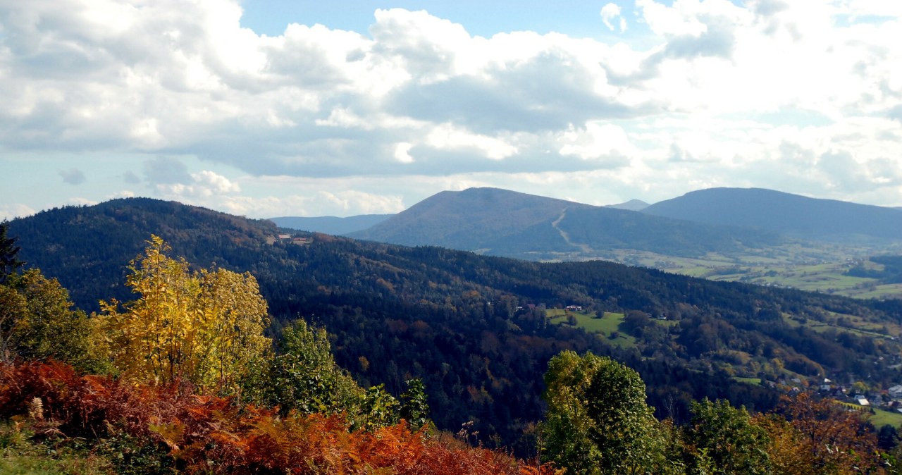 Krokusy, puste szlaki i piękne widoki. Alternatywa dla zatłoczonych Tatr