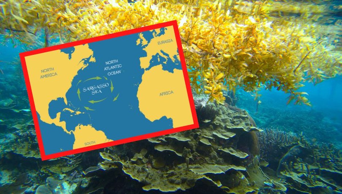 Oto najbardziej tajemniczy akwen świata. Odkryj morze, które nie ma brzegów