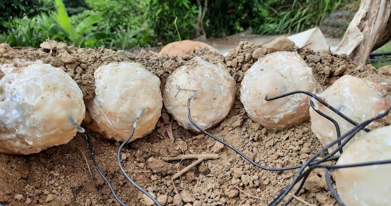 Jak dinozaury opiekowały się jajami? Nowe odkrycia naukowców o inkubacji