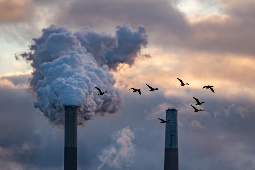 Czy Polska może wyjść z systemu ETS? "Strzał w stopę"