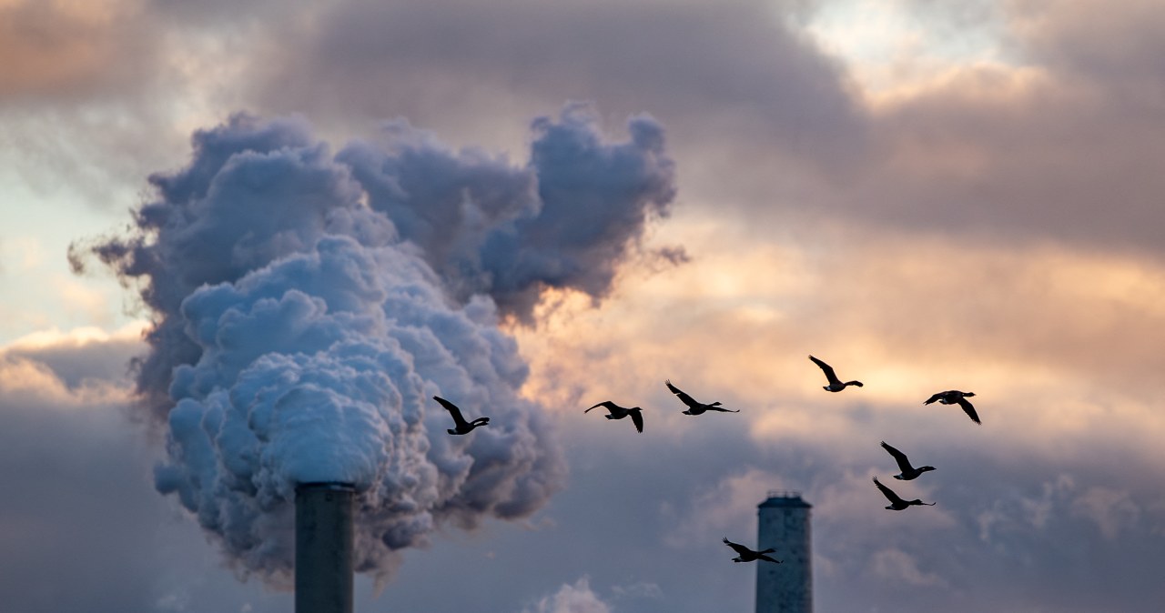 Czy Polska może wyjść z systemu ETS? "Strzał w stopę"