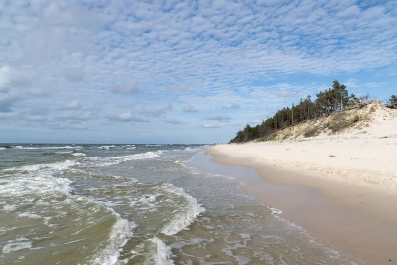 Czarny koń pomorskich wakacji bez tłumów i kramów. To miejsce cię zaskoczy