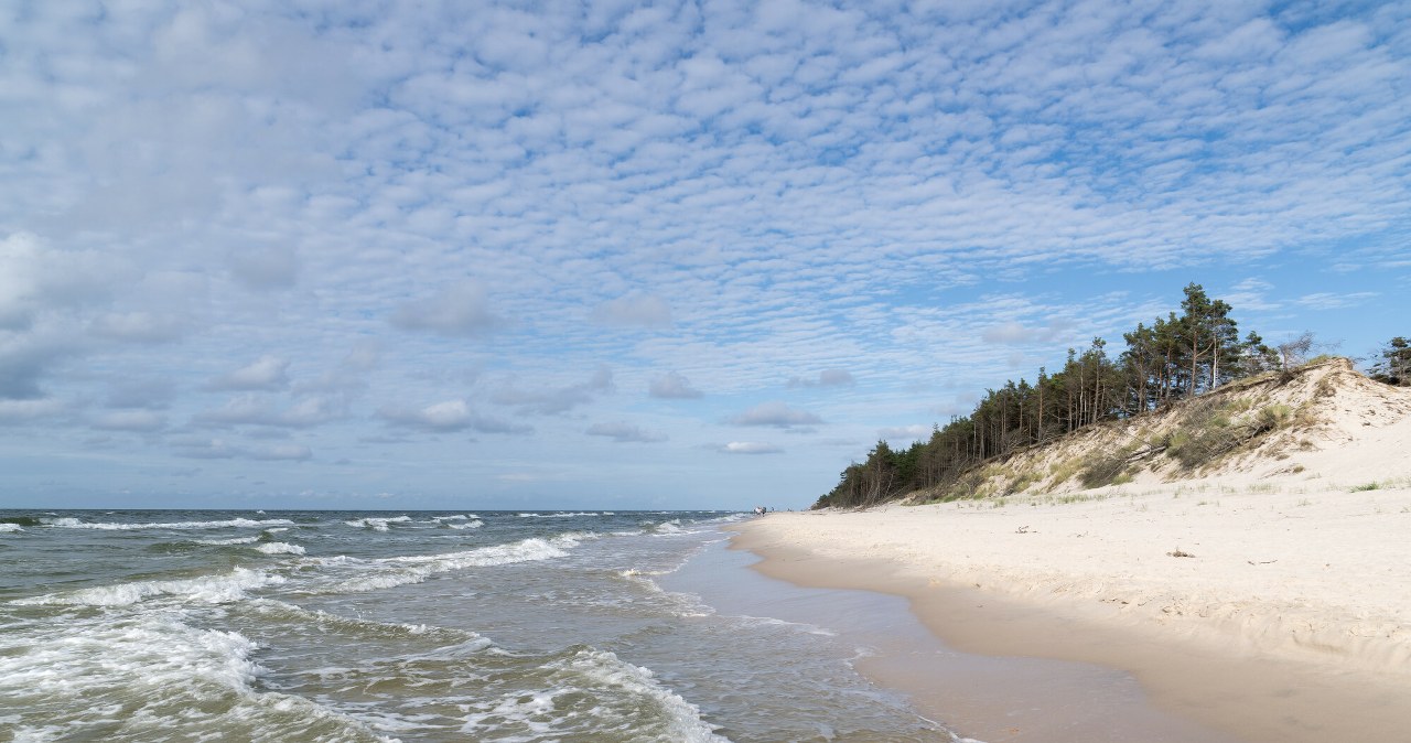 Czarny koń pomorskich wakacji bez tłumów i kramów. To miejsce cię zaskoczy