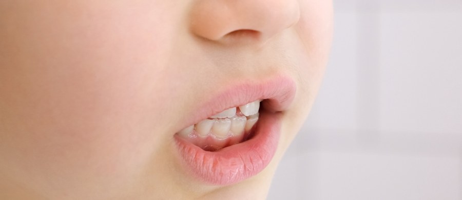 Coraz więcej dwulatków nie mówi - ostrzegają specjaliści. To jednak nie powinna być nowa norma – tylko sygnał alarmowy, który ma skłaniać do poszukiwania przyczyn. W tym tygodniu w cyklu Twoje Zdrowie w Faktach RMF FM mówimy o zaburzeniach rozwojowych. Do gabinetu neurologopedy przychodzą rodzice zaniepokojeni tym, jak będzie komunikowało się z rówieśnikami ich dziecko - które wkrótce rozpoczyna przedszkole. 