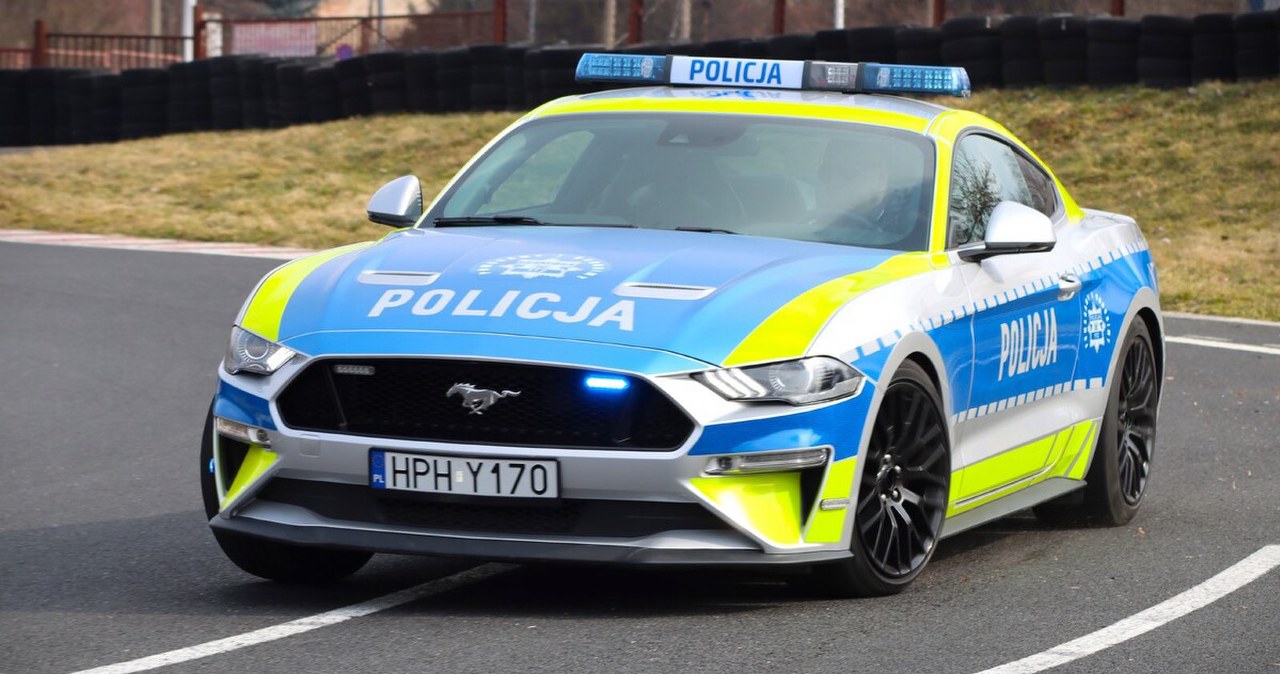 Policja dostała Mustanga po pijanym kierowcy. Teraz ruszy na drogi